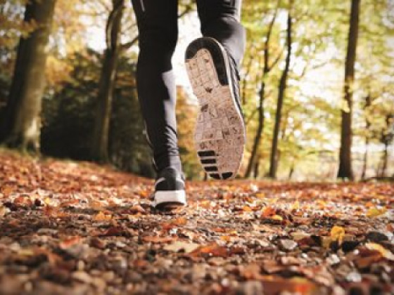 Wijnand hollen van Zwolle naar Den Bosch