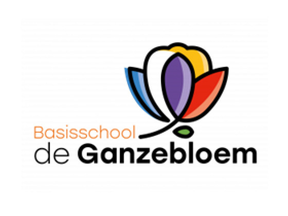 Basisschool De Ganzebloem komt in actie voor 3FM Serious Request!
