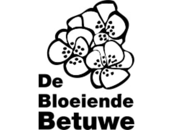 Basisschool De Bloeiende Betuwe komt in actie voor 3FM Serious Request!