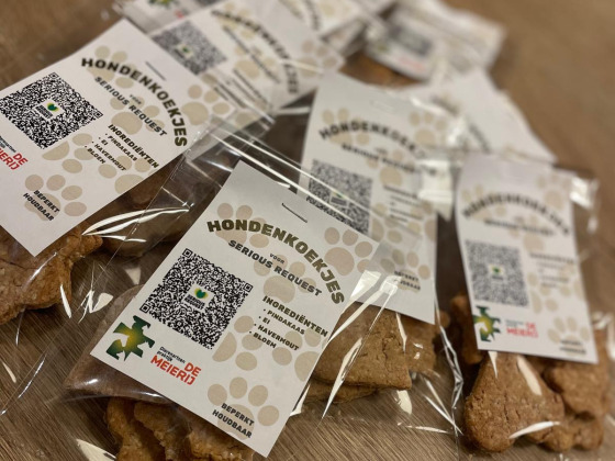 DAP De Meierij voor Serious Request