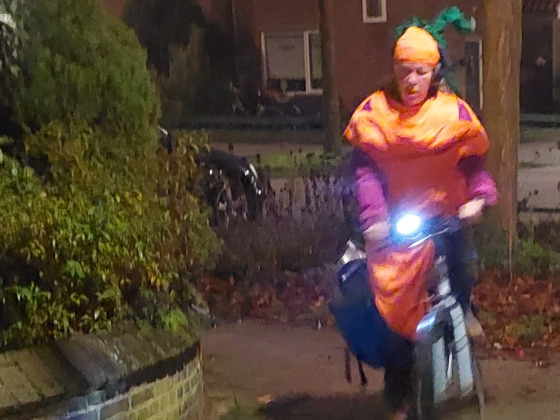 Laat ze niet wortelschieten.