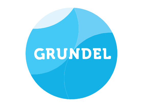 Middelbare school Lyceum de Grundel komt in actie voor 3FM Serious Request!