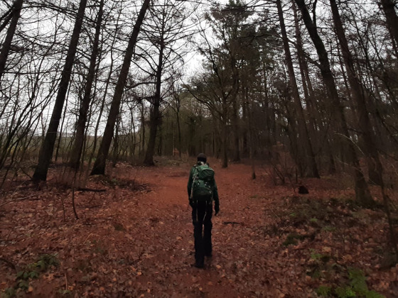 Aanpezen voor Spieren