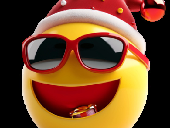 Stijn en Stijn flessenactie