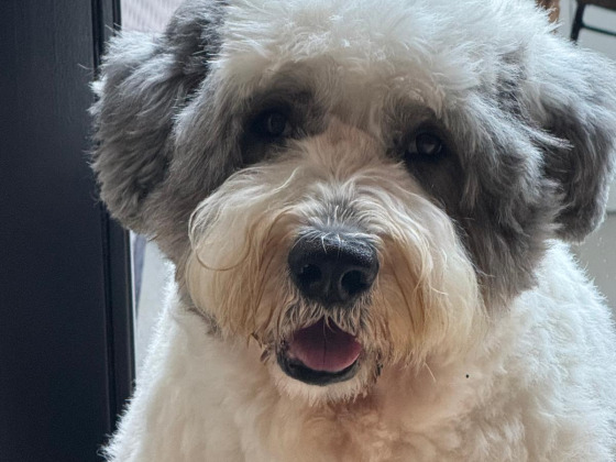 KNUFFEL MIJ EN MAAK KINDEREN MET SPIERZIEKTES BLIJ