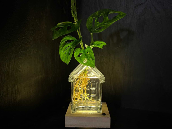 Het Glazen Huis als lichtpuntje voor spierkracht