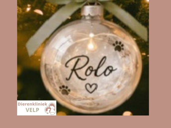 Een gepersonaliseerde kerstbal voor een goed doel!